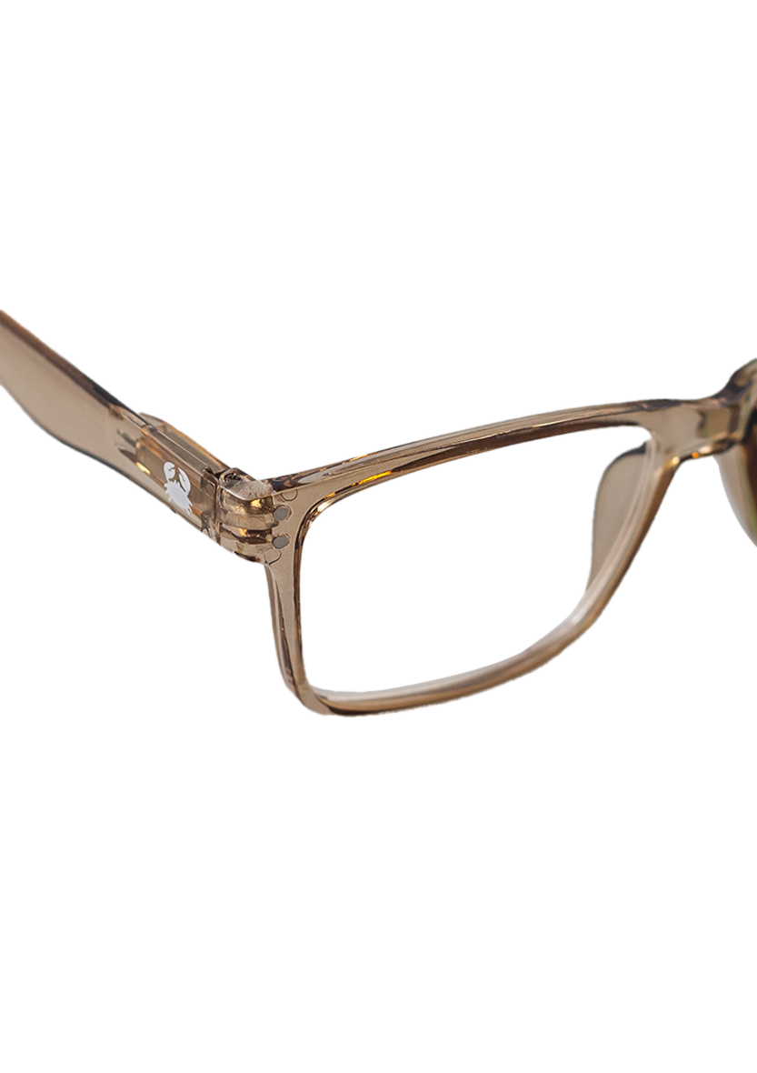 HIPO CRYSTAL BROWN - Imagen 3